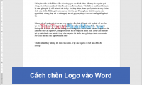 How to insert Logo into Word