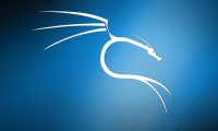 How to install and use Kali Linux on VmWare virtual machine