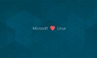 How to install and use Procmon on Linux, an open source tool just released by Microsoft