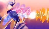 How to install GSnap audio on Audacity