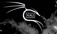 How to install Kali Linux on your computer