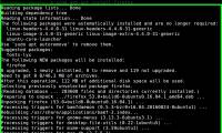 How to Install Software in Ubuntu