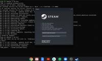 How to install Steam on a Chromebook
