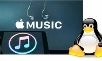 How to open Apple Music in Linux