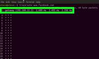 How to Ping in Linux