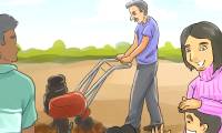 How to Plan a Family Garden