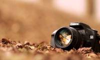 How to preserve and prevent moisture for simple cameras at home