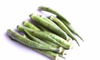 How to Preserve Fresh Okra