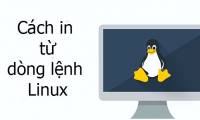 How to print from the Linux command line