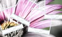 How to recover deleted photos with EXIF ​​metadata