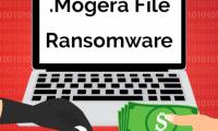 How to remove ransomware .Mogera Virus File