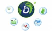 How to remove the original Babylon Toolbar on IE, Chrome and Firefox?