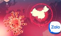 How to track Corona disease information via Zalo
