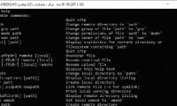 How to transfer files to / from Linux servers using SFTP