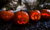 How to trim super simple pumpkins to decorate for Halloween night