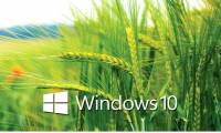 How to turn off application loading suggestions on Windows 10 Start Menu?