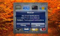 How to turn off iPhone application notifications?