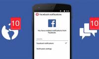 How to turn on and off the general Facebook notification on the phone