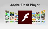 How to update Flash Player on your computer