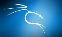 How to update Kali Linux and fix errors when updating