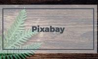 How to upload multiple photos on Pixabay