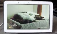 How to use Live Albums on Google Home Hub