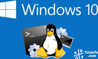 How to use Zsh (or other Shells) on Windows 10?