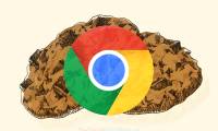 How to view Cookies on Chrome