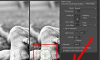 How to Watermark Your Images with Zoner Photo Studio Pro 16