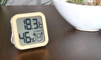 Hygrometer type good, cheap should buy the most today?