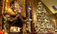 Ideas to decorate a unique Christmas tree