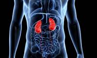 If there is only one kidney, how will human life change?