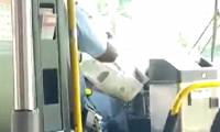 Incredibly the Maryland bus driver read the newspaper when he was driving