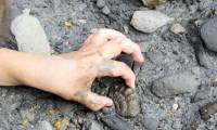 India first discovered fossils of fish lizards