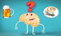 Infographic - What happens when the brain comes into contact with beer or Cafe?