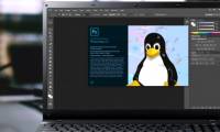 Install Photoshop on Linux