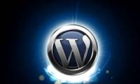 Install WordPress directly on the CPanel website
