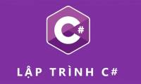 Installing C # environment