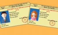 Instructions for changing driving licenses to plastic cards online