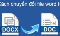 Instructions for converting Docx to Doc files online