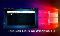 Instructions for installing Kali Linux on Windows 10 are easier than ever