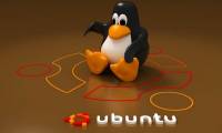 Instructions for installing Ubuntu on VMware Workstation - Part 2