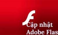 Instructions for updating the latest Adobe Flash Player version