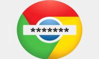 Instructions on how to export saved passwords on Chrome browser into 1 file