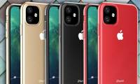 iPhone XR 2019 reveals new color photos with a square-shaped camera