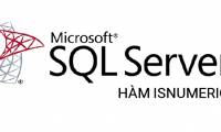 ISNUMERIC function in SQL Server