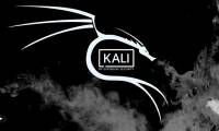 Kali Linux is available on the Windows Store but is flagged by Windows Defender