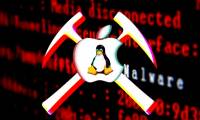 Learn about SpeakUp - New Malware targets Linux servers