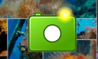 Learn about WEBP image format
