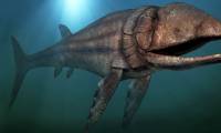 Leedsichthys: The 'vacuum cleaner' of the Jurassic Sea was once misunderstood as a dinosaur